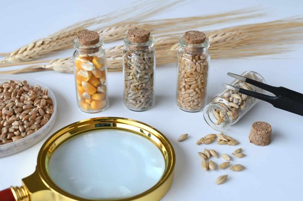 Les nouvelles réglementations à connaître pour souscrire une assurance